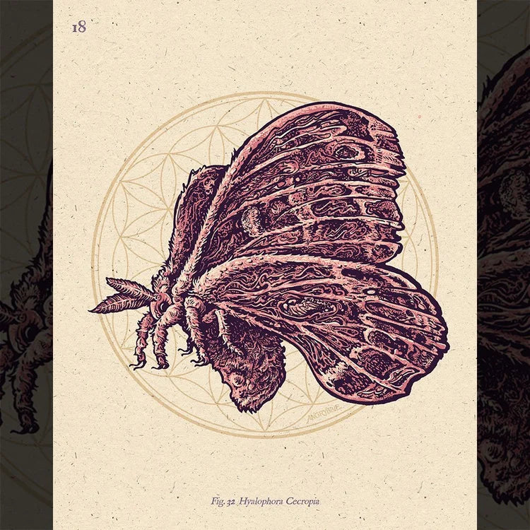 AngryBlue - Cecropia (Small Print)
