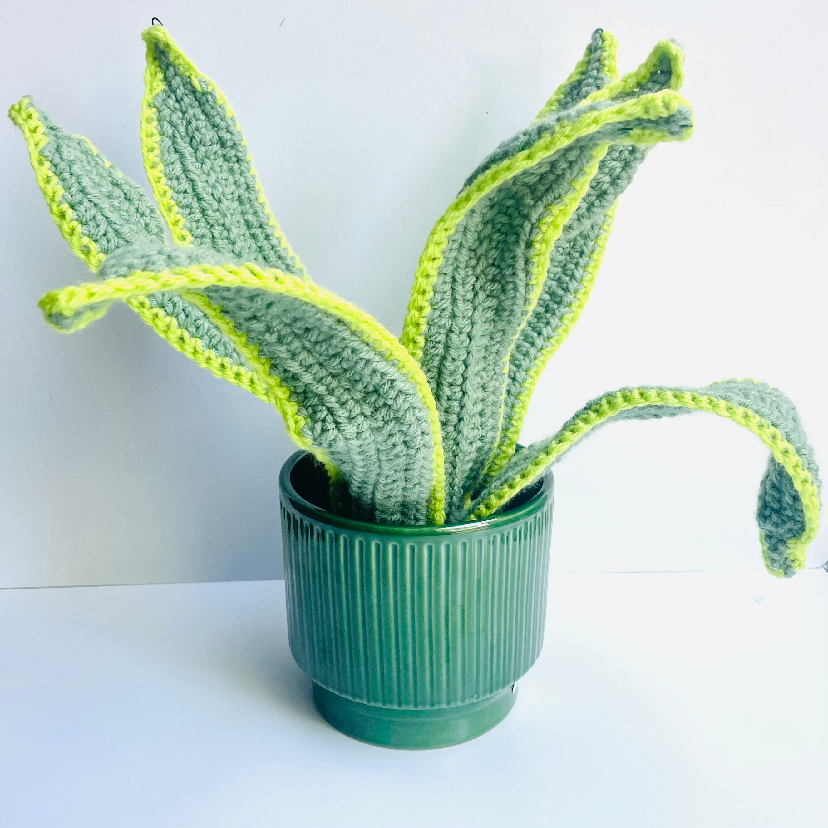 Cams Creations - Potted Crochet Snake Plant