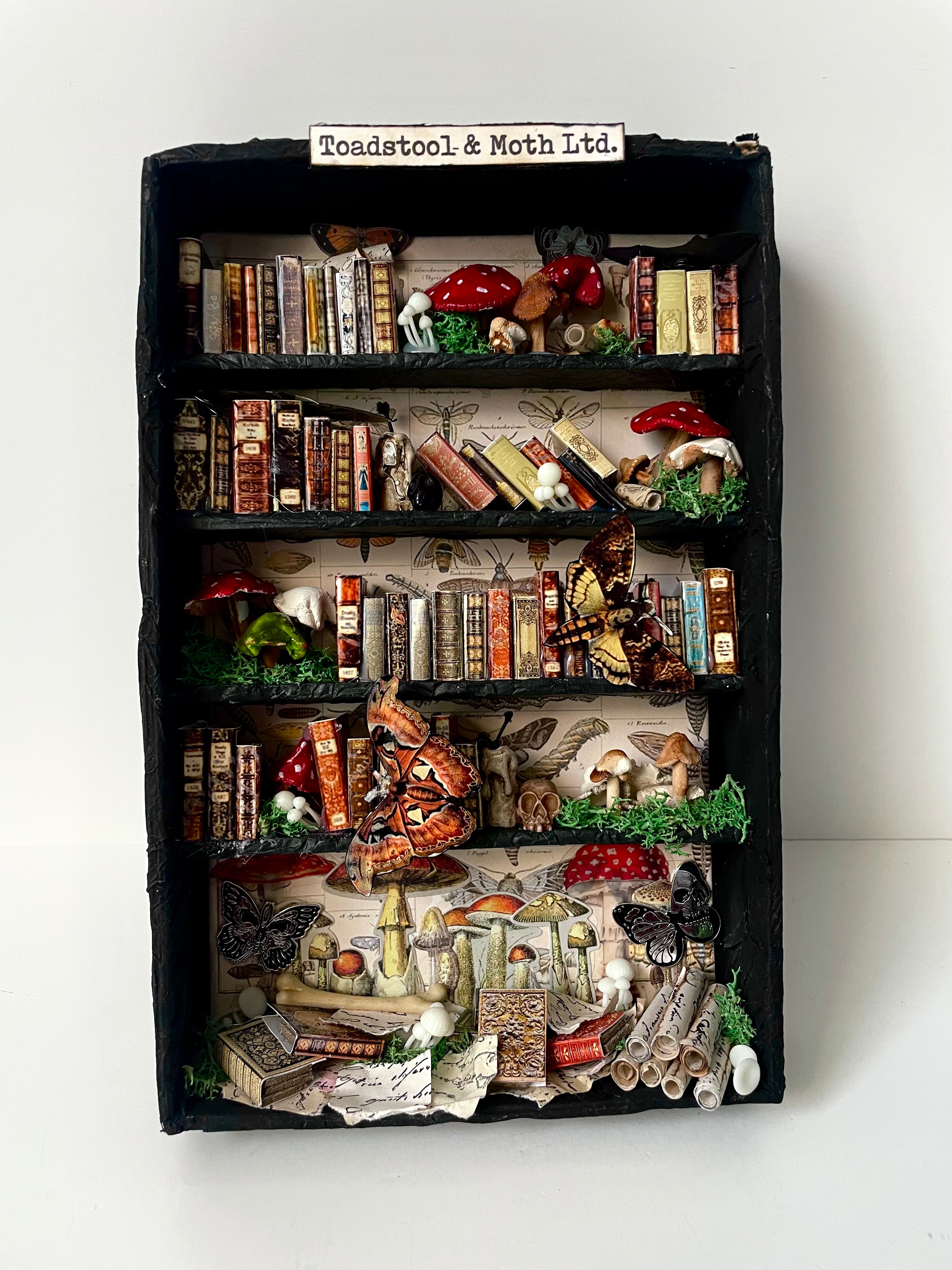 Kimberly Kelting - Oddibrary