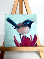 Kelley Luckett - Fairy Wren