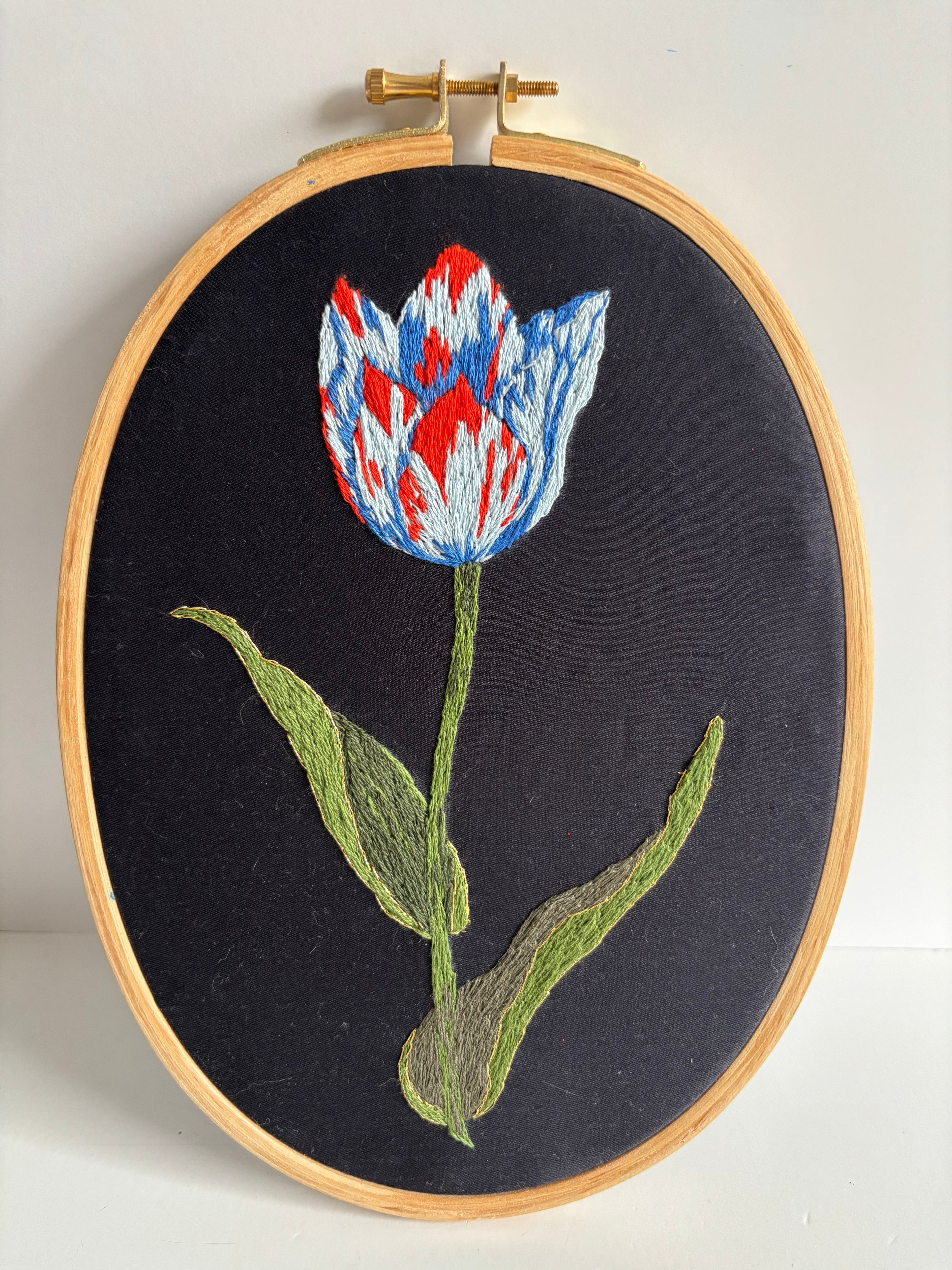 Ciara LeRoy - Illuminated Tulip