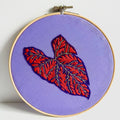 Ciara LeRoy - Illuminated Caladium Leaf