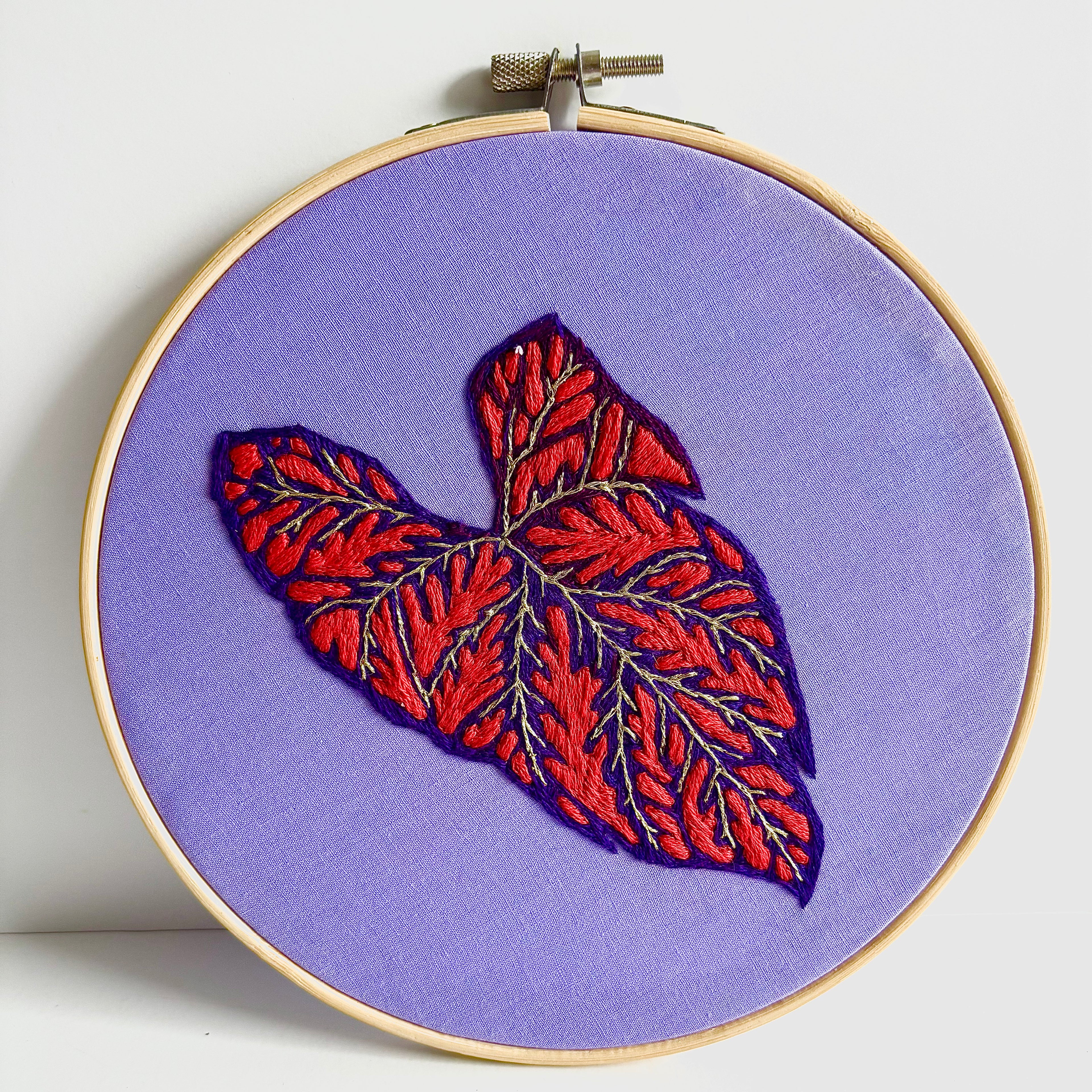Ciara LeRoy - Illuminated Caladium Leaf