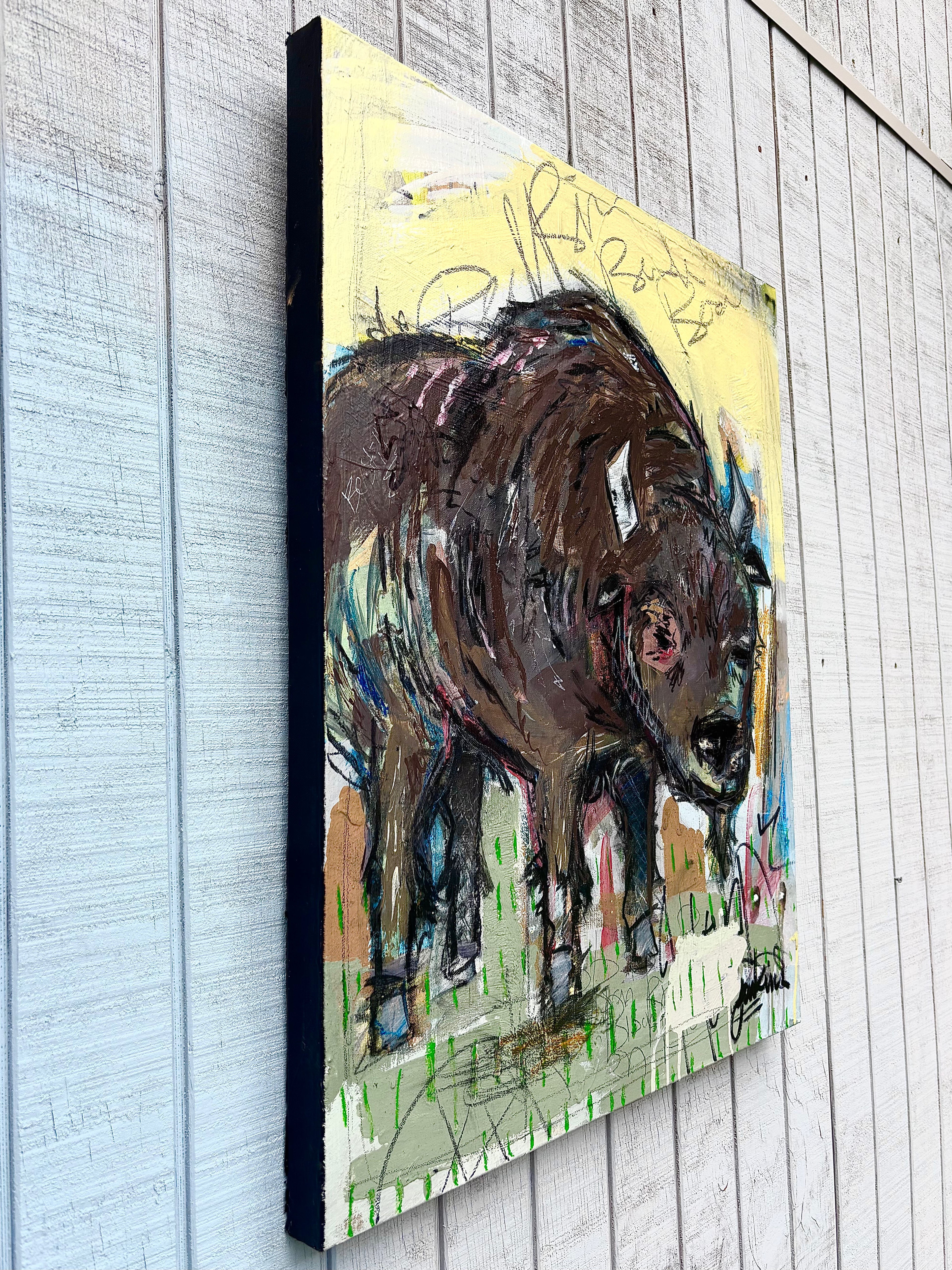 Joshua Jenkins - The 502 Bison