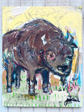 Joshua Jenkins - The 502 Bison