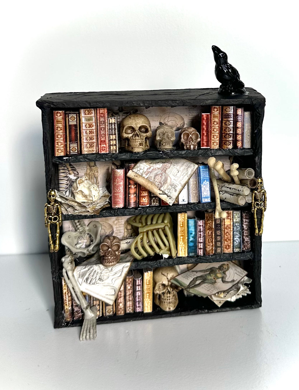 Kimberly Kelting - The Anatomist