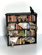 Kimberly Kelting - The Anatomist