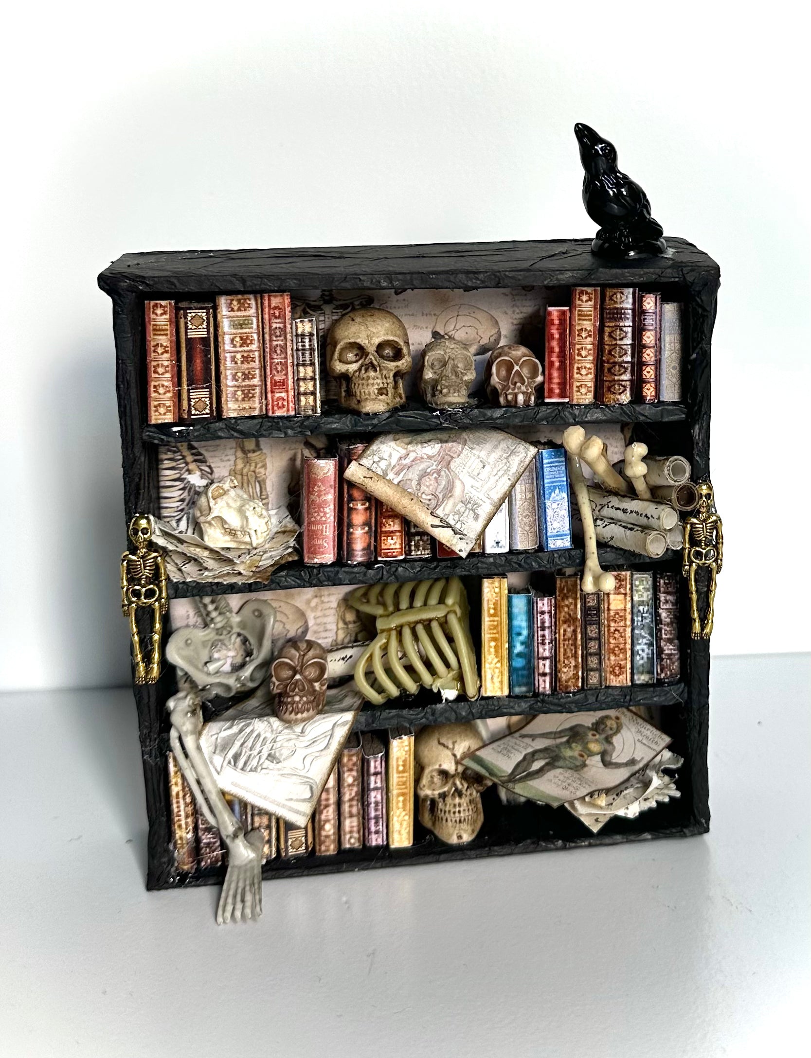Kimberly Kelting - The Anatomist