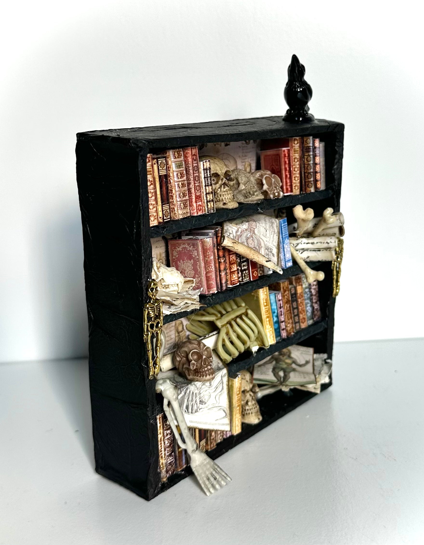Kimberly Kelting - The Anatomist