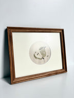 Zoe Luvisi - Framed Pear Embroidery