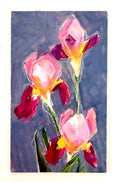 Kelley Luckett - Irises in Pink