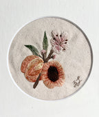 Zoe Luvisi - Framed Apricot Embroidery
