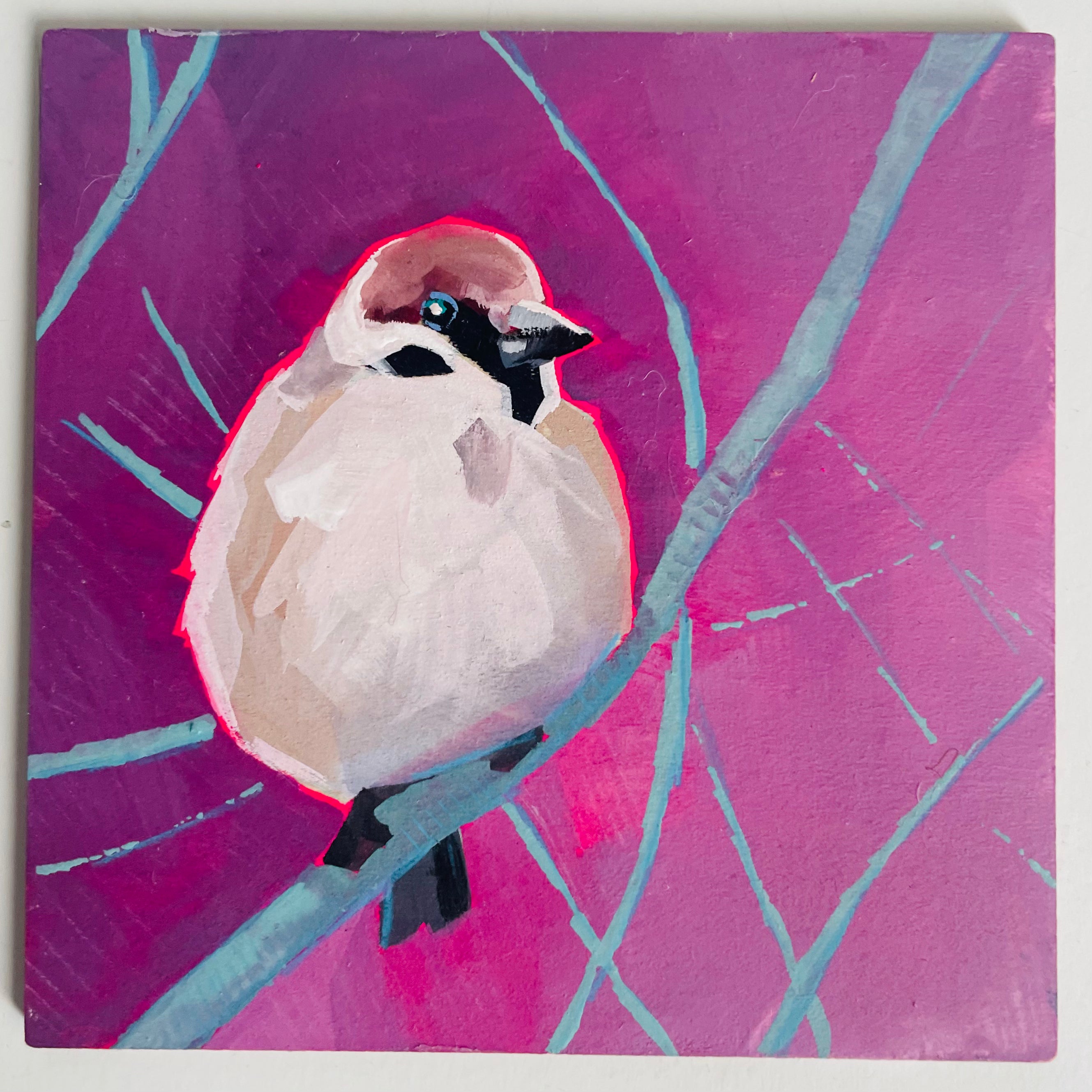 Kelley Luckett - Bird in Bush