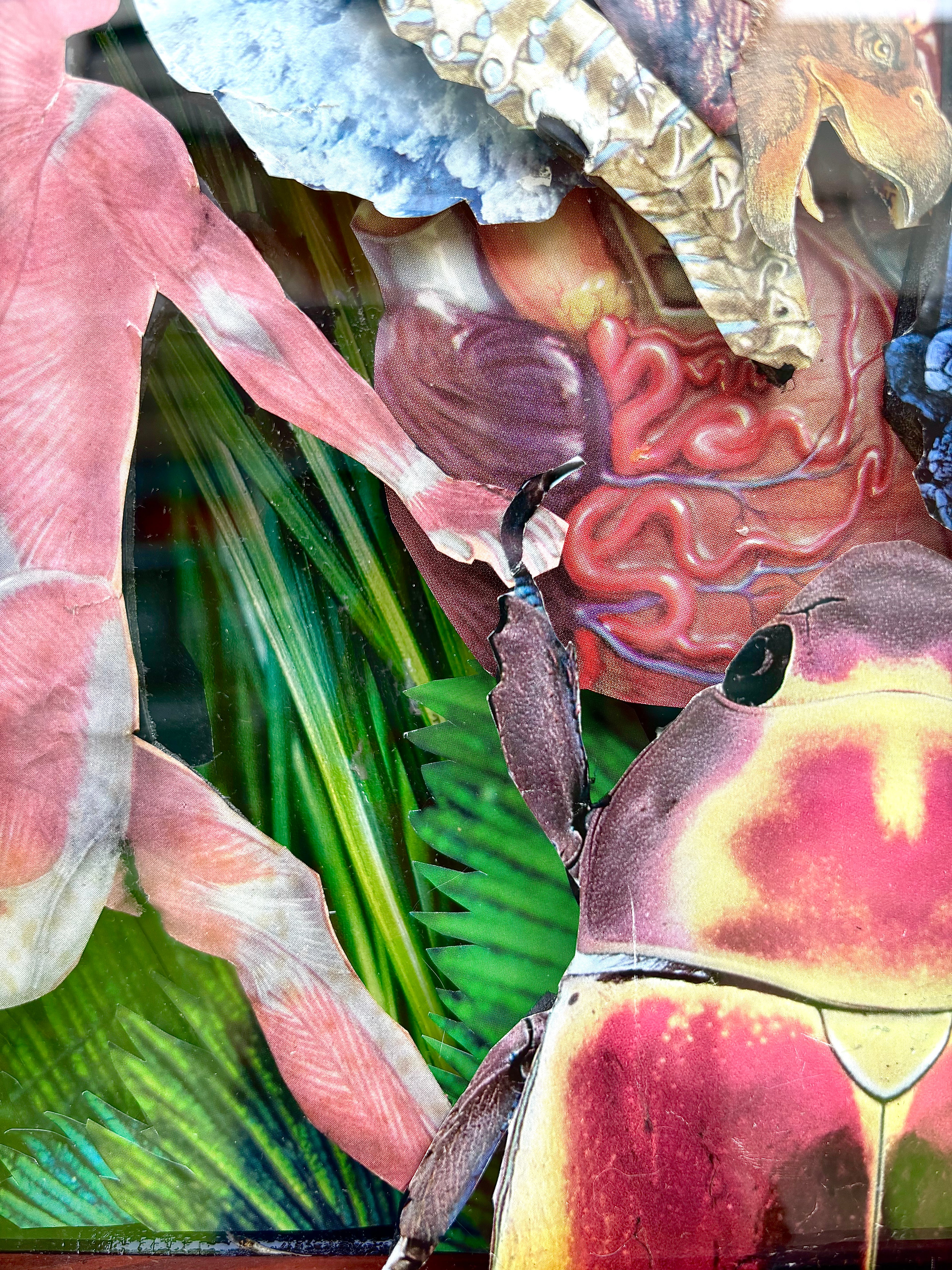 Chad McConnell - Enter The Void