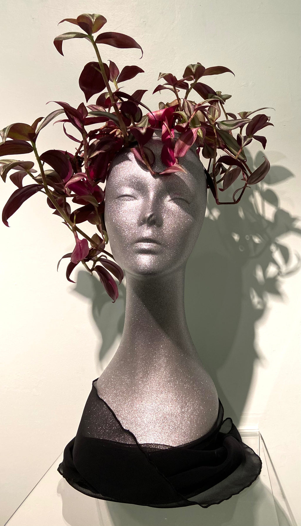 Grace Henderson - Medusa