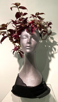 Grace Henderson - Medusa