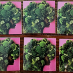 Imani Burns - Bime Stickers