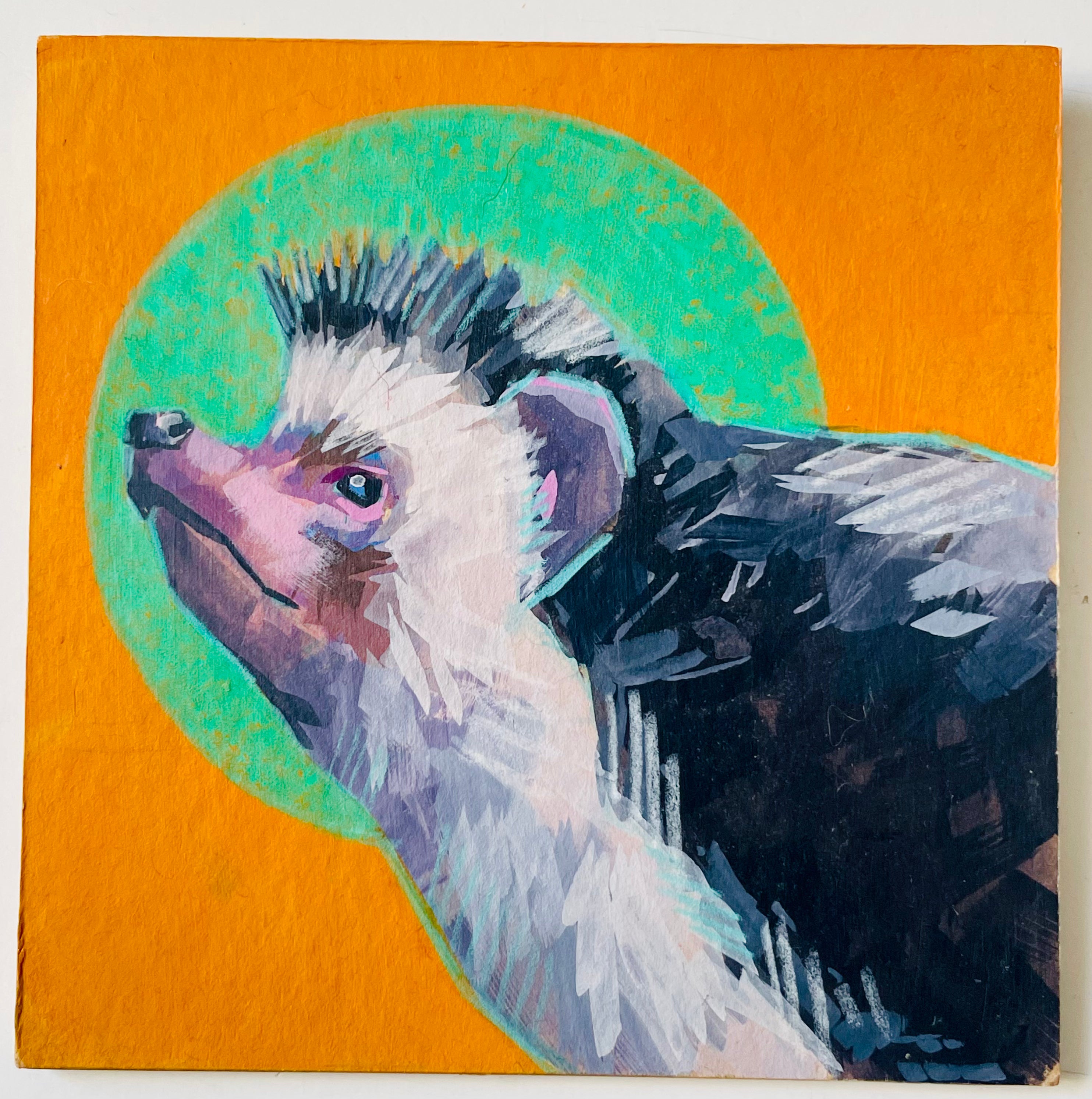 Kelley Luckett - The Hedgehog