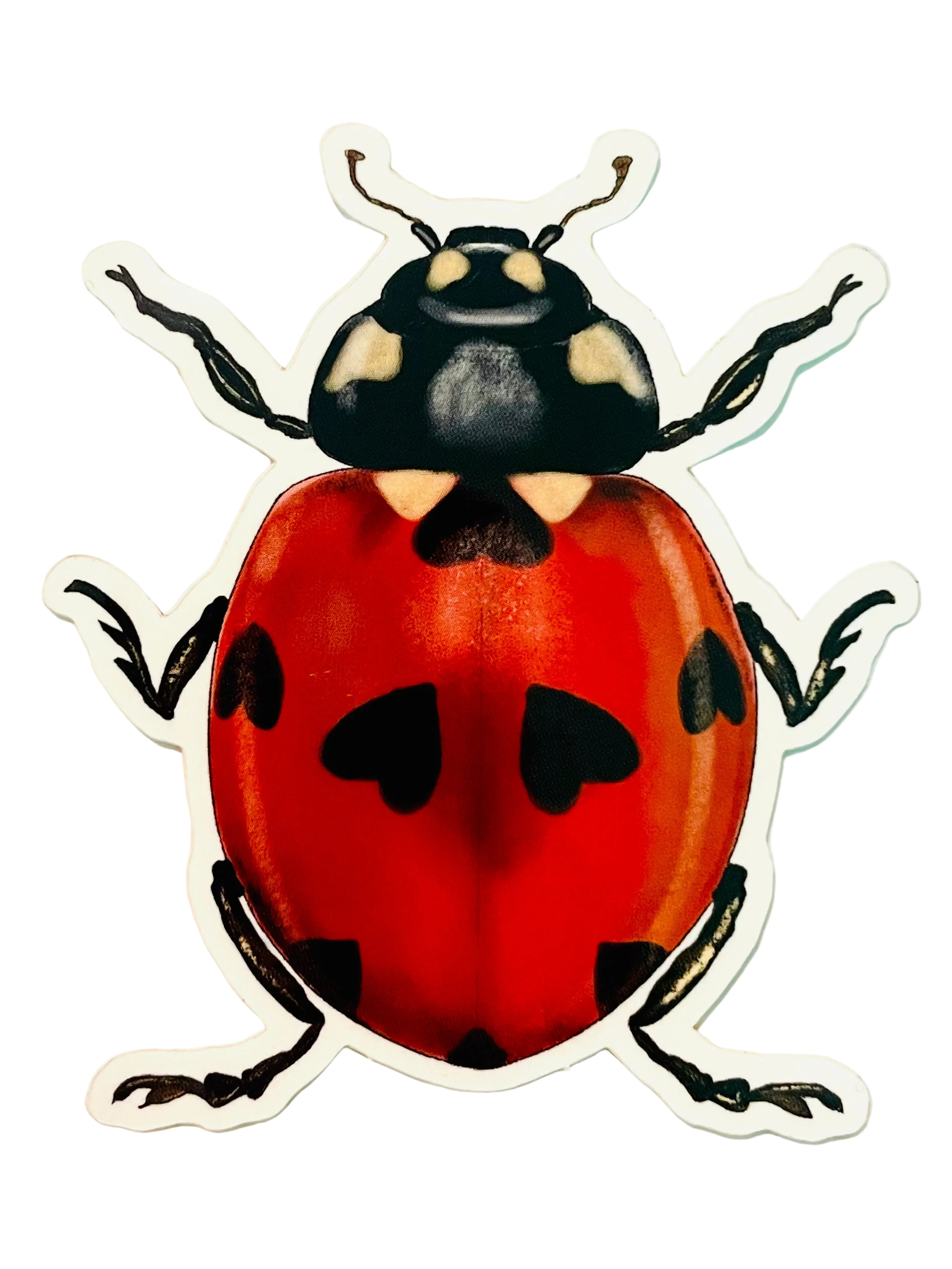 Carolyn McManus - LadyBug Sticker