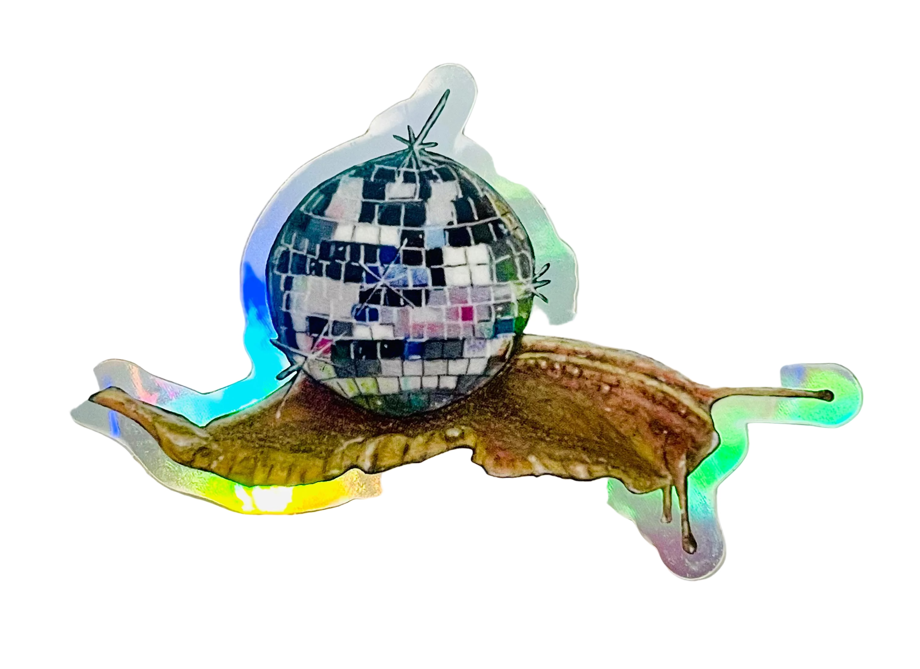 Carolyn McManus - Disco Snail Sticker