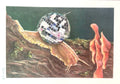 Carolyn McManus - Disco Snail Print