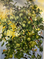 Ewa Perz - Apple Orchard