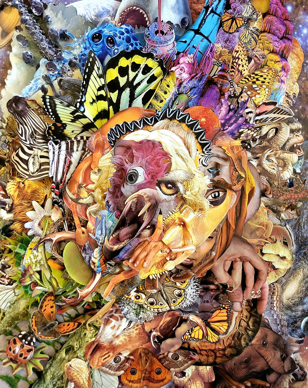 Chad McConnell - Animalia