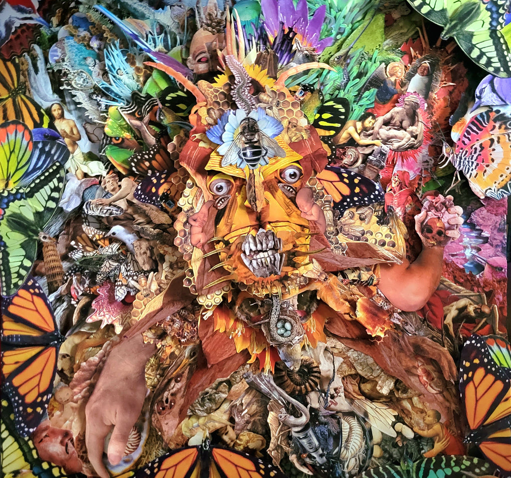 Chad McConnell - The Big Crunch