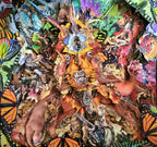 Chad McConnell - The Big Crunch
