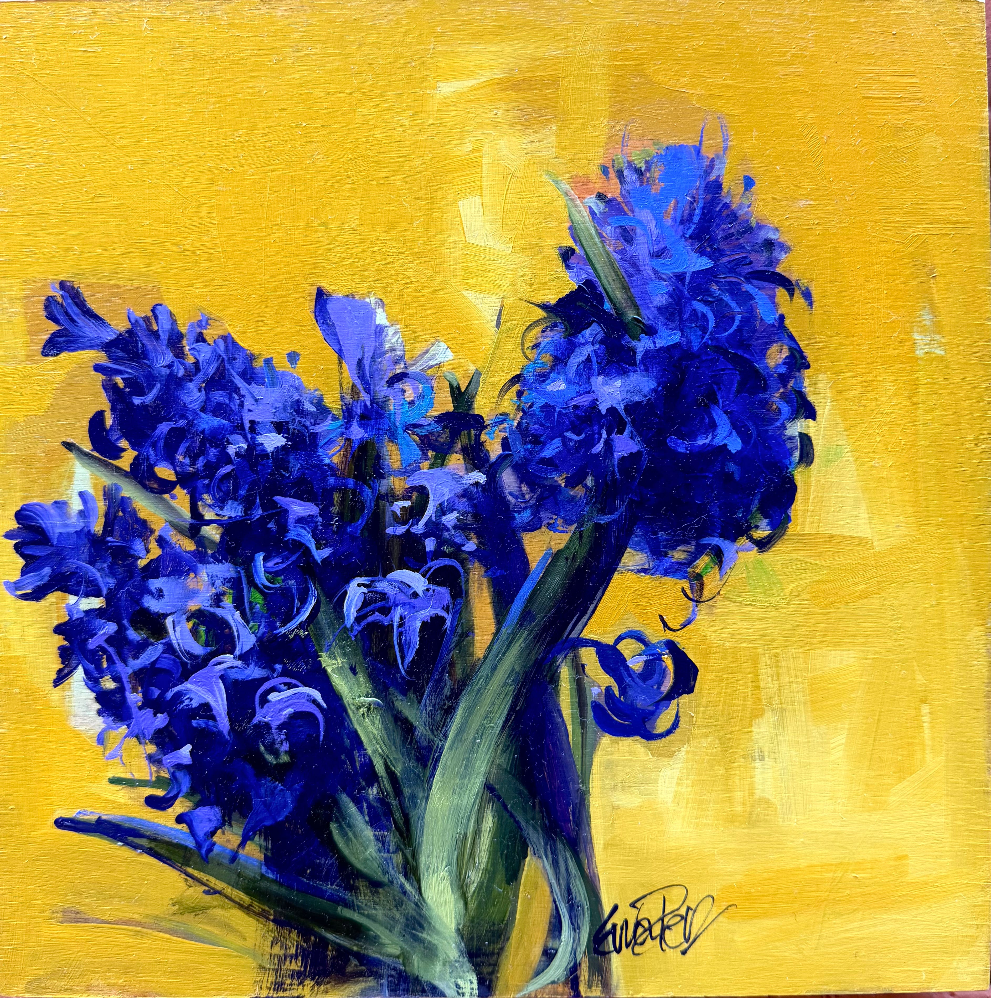 Ewa Perz - Hyacinths