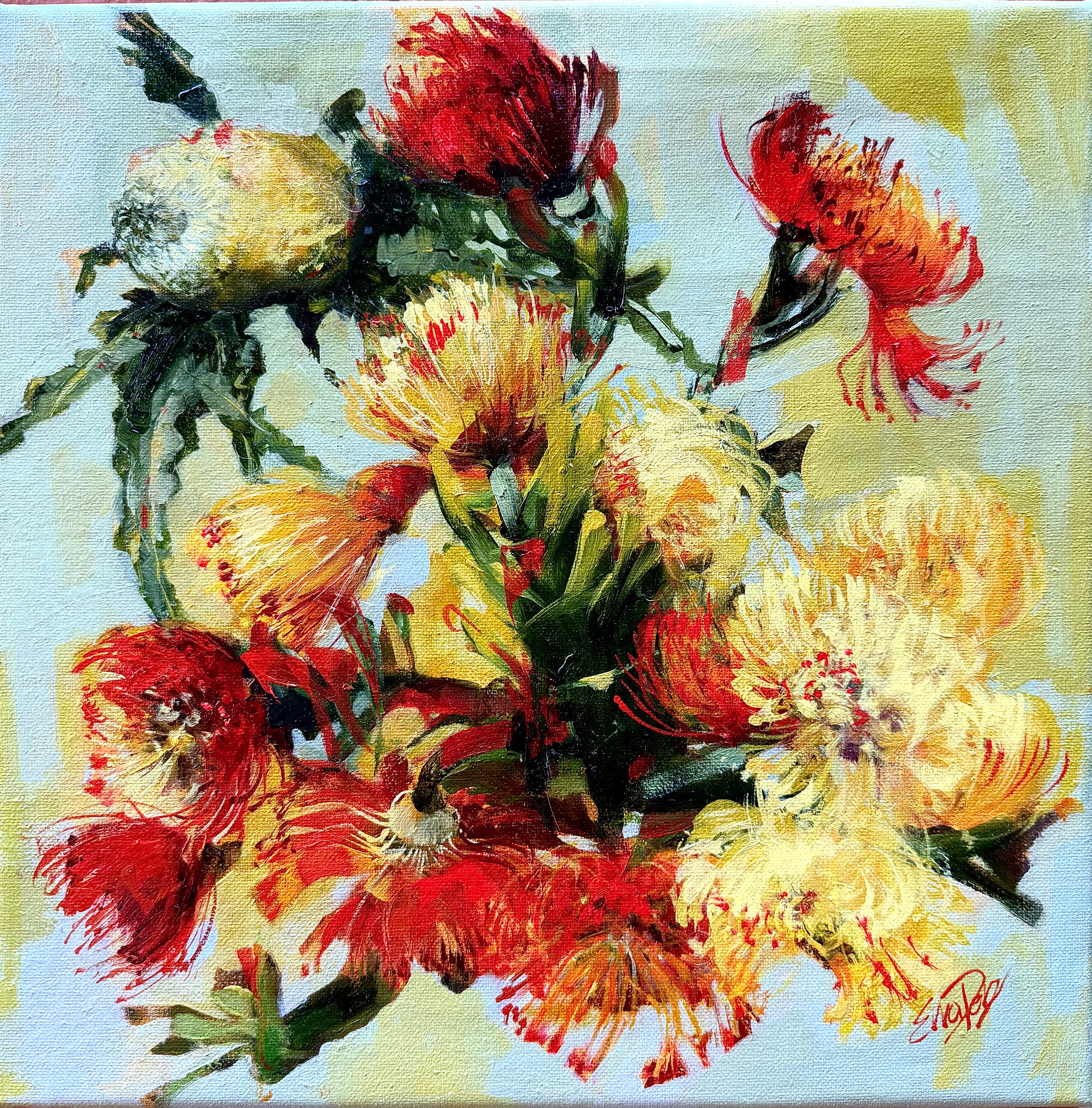 Ewa Perz - King Protea