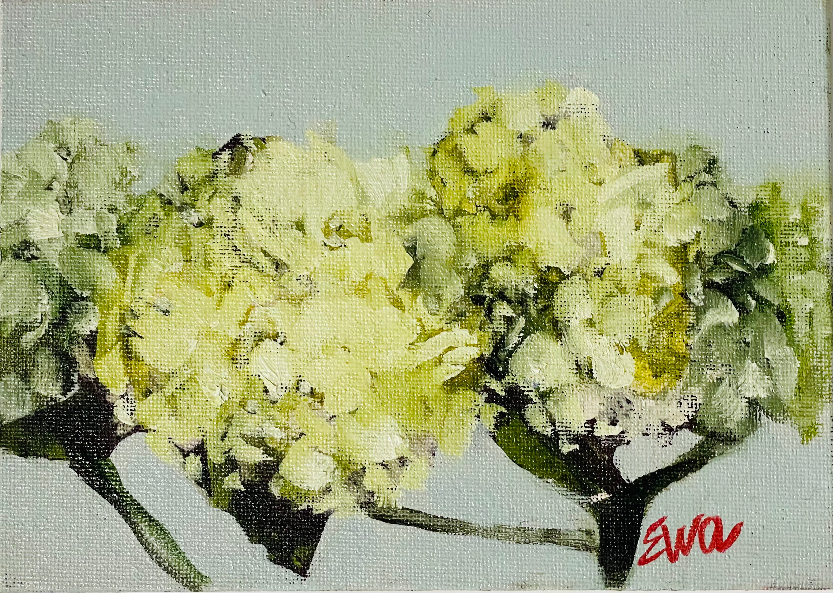 Ewa Perz - Oil Painting 421