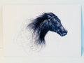 Sej Studio - Stallion