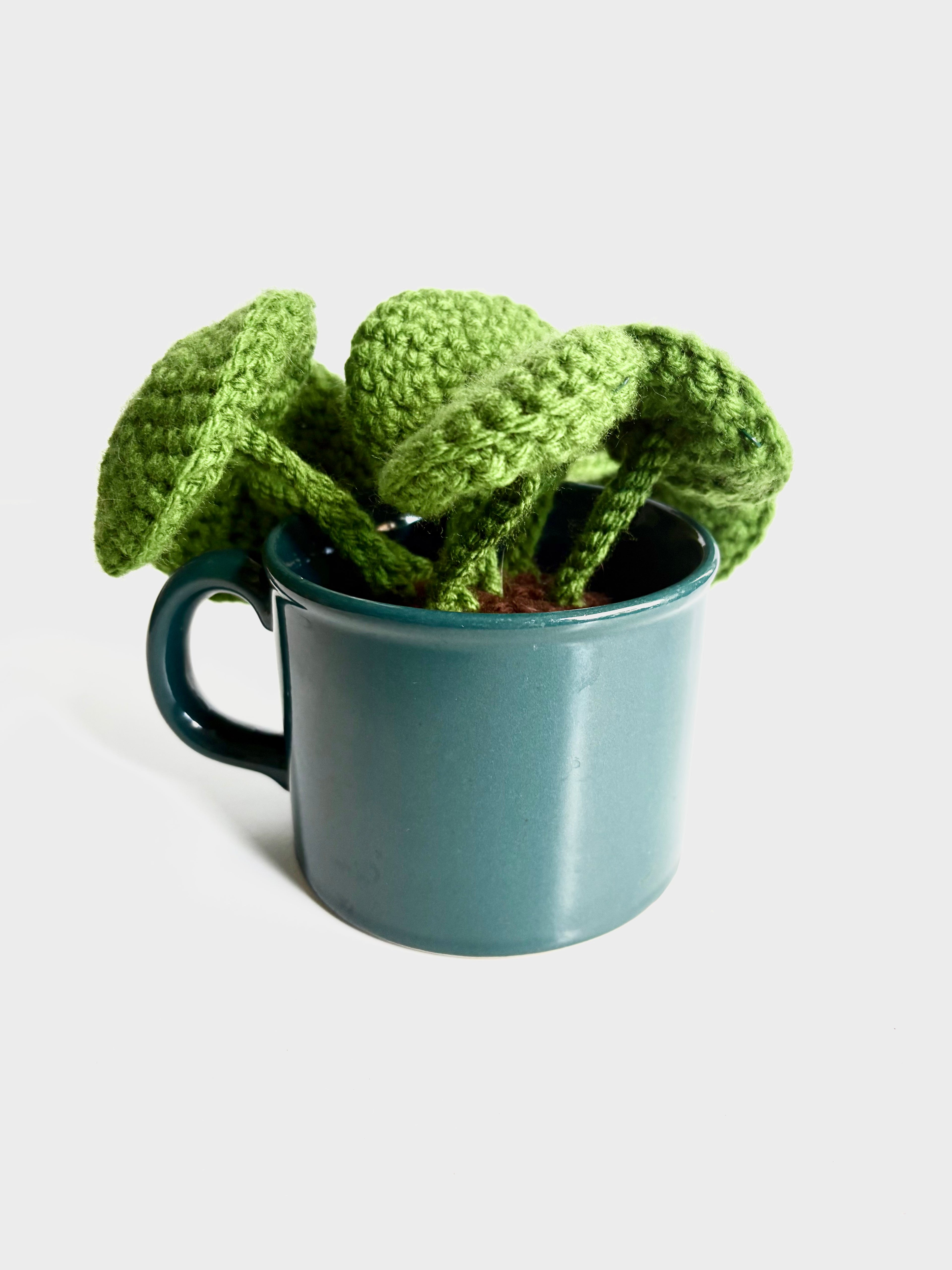 Cams Creations - Potted Crochet Pilea Plant