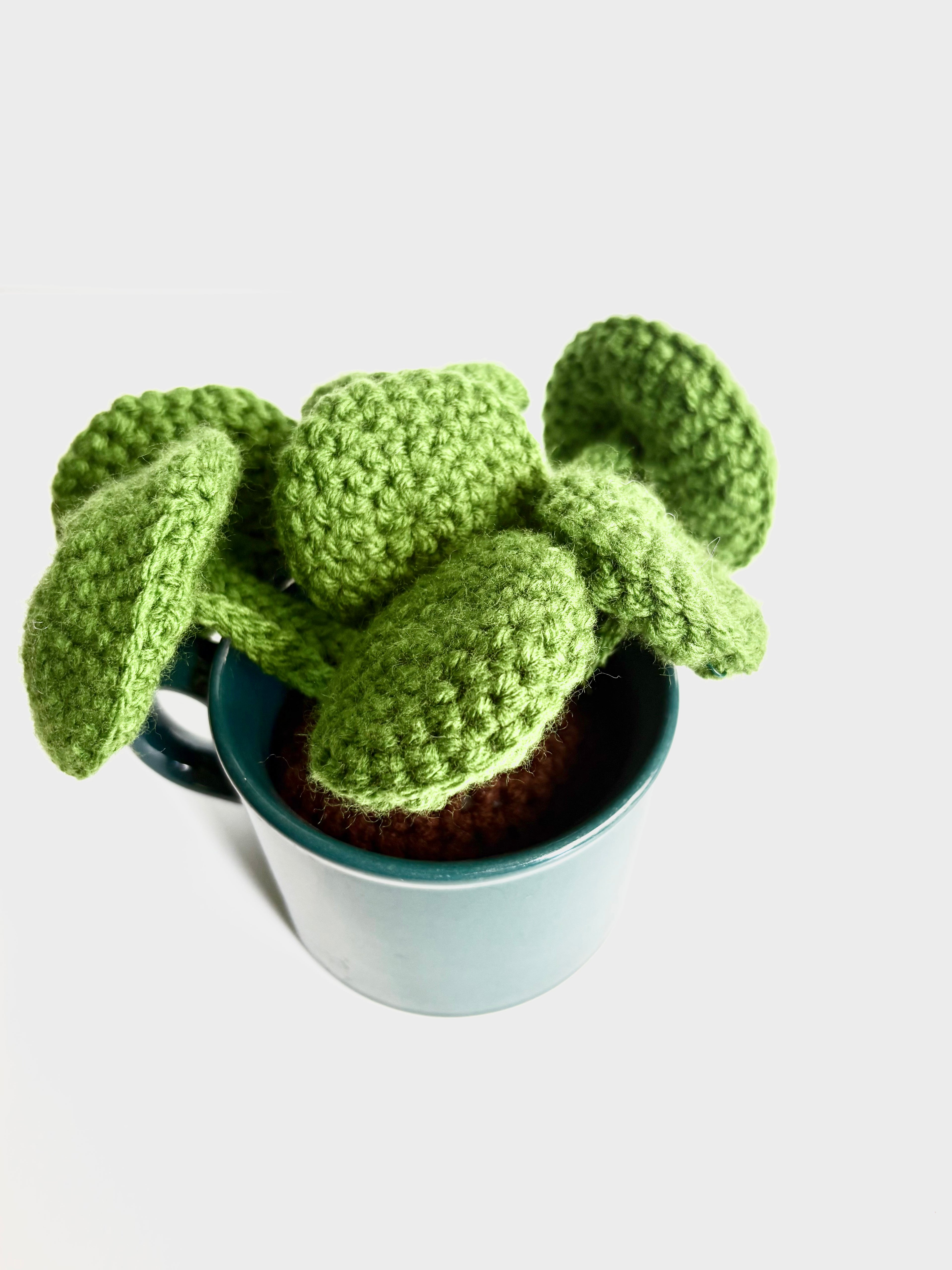 Cams Creations - Potted Crochet Pilea Plant