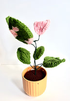 Cams Creations - Potted Crochet Pink Princess Plant