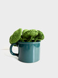 Cams Creations - Potted Crochet Pilea Plant