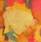 Alex Blom - Afterimage V