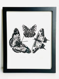 Fox Grove Art - Framed le Papillon