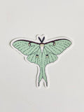 Field & Forest Moth Sticker