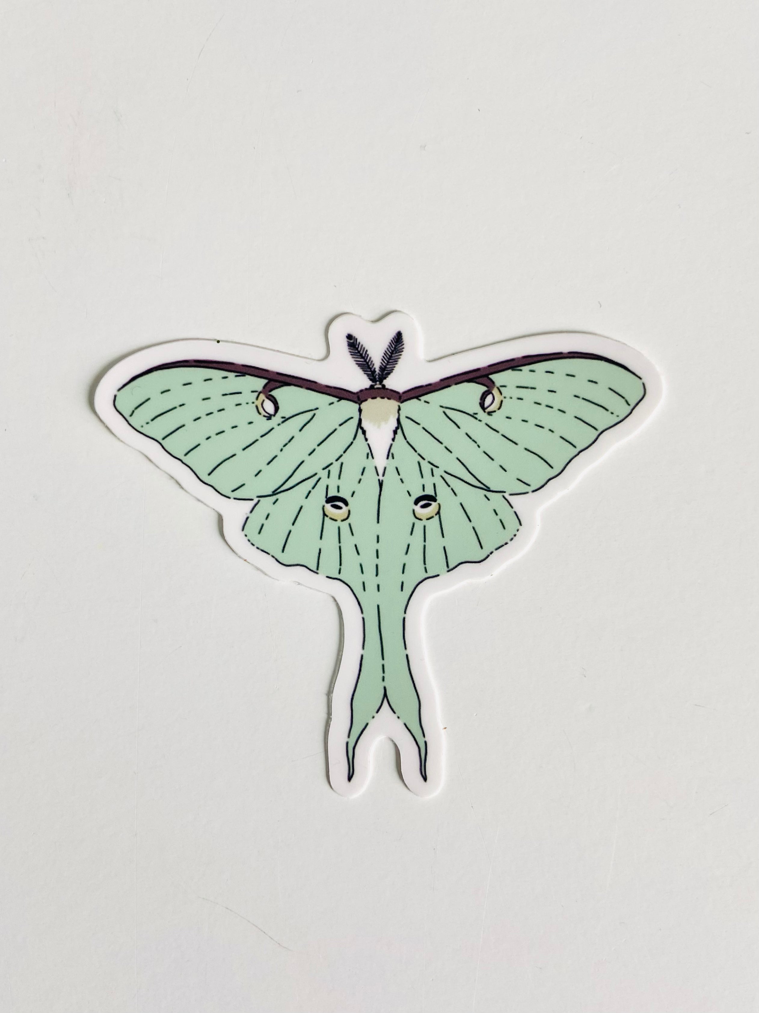 Field & Forest Moth Sticker