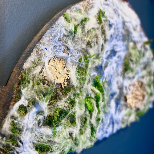 Ada Asenjo - Earth Rising: Hanging by a Thread