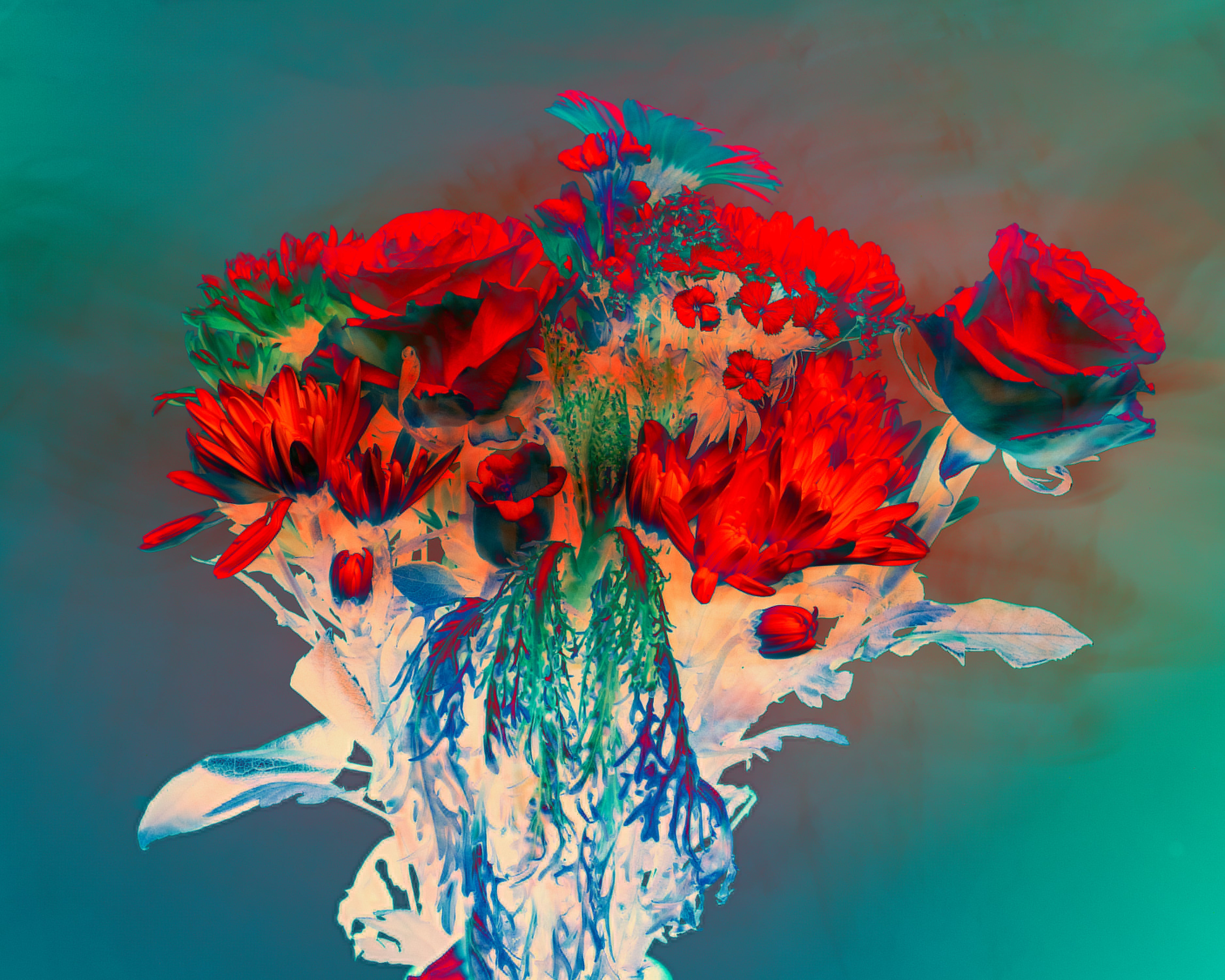 Ryan Grant Photo - Identity Blooming Mini Prints