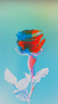Ryan Grant Photo - Thorn
