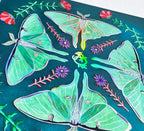 Guided Hand Studio- Moth "Transformation Sigil" Print