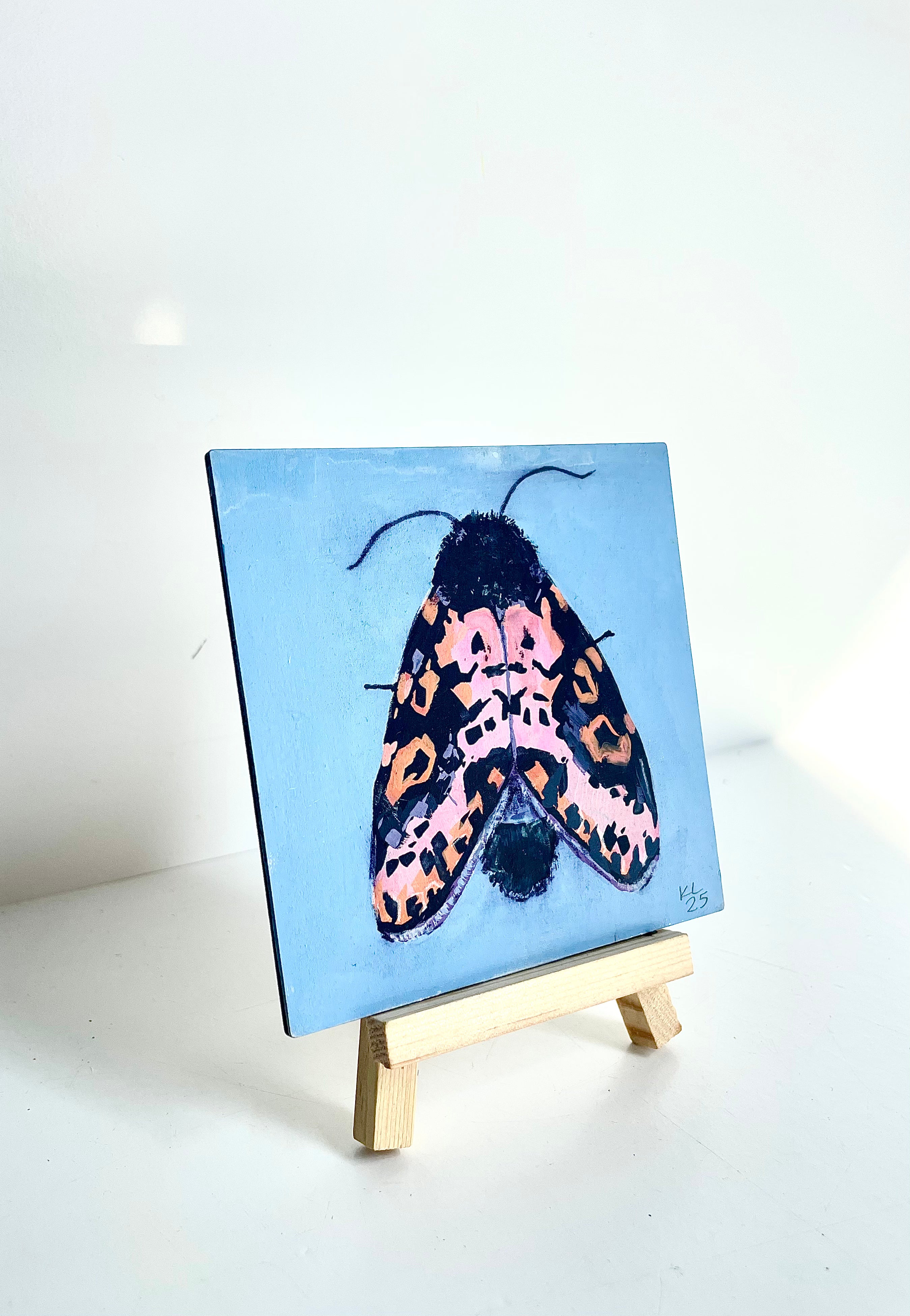 Kelley Luckett - Spanish Moth