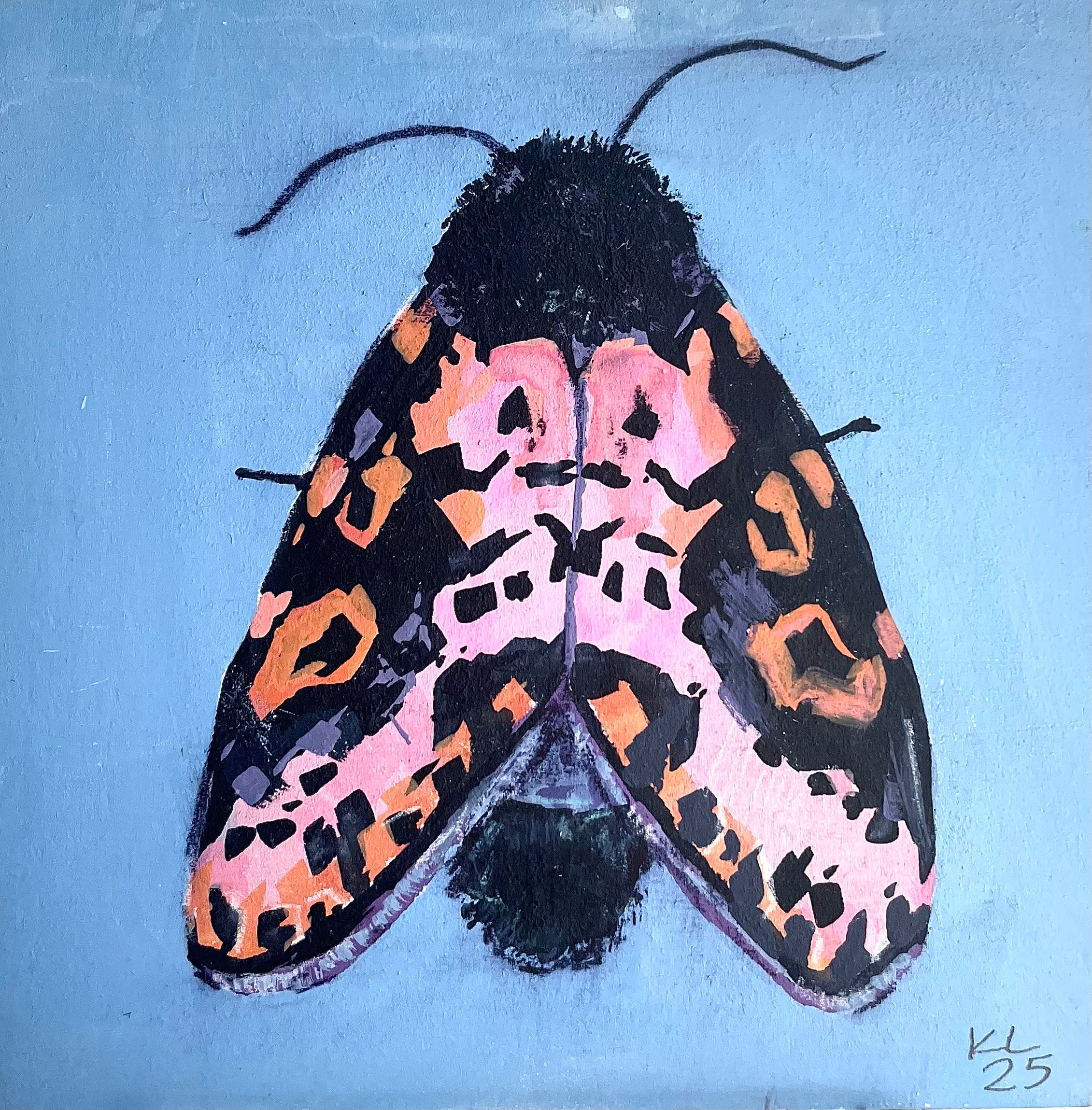 Kelley Luckett - Spanish Moth
