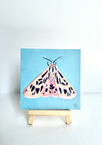 Kelley Luckett - Tiger Moth 1