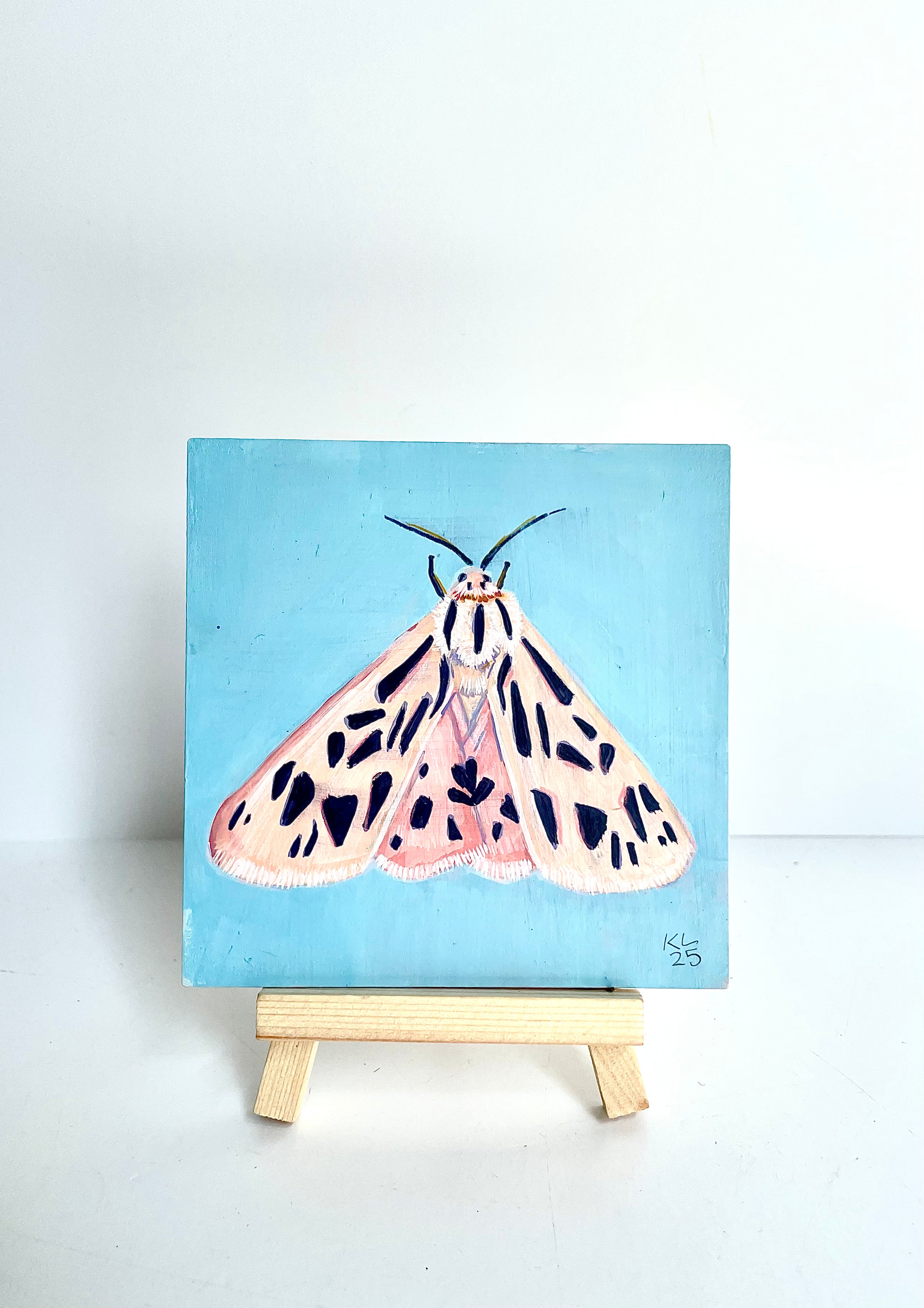 Kelley Luckett - Tiger Moth 1