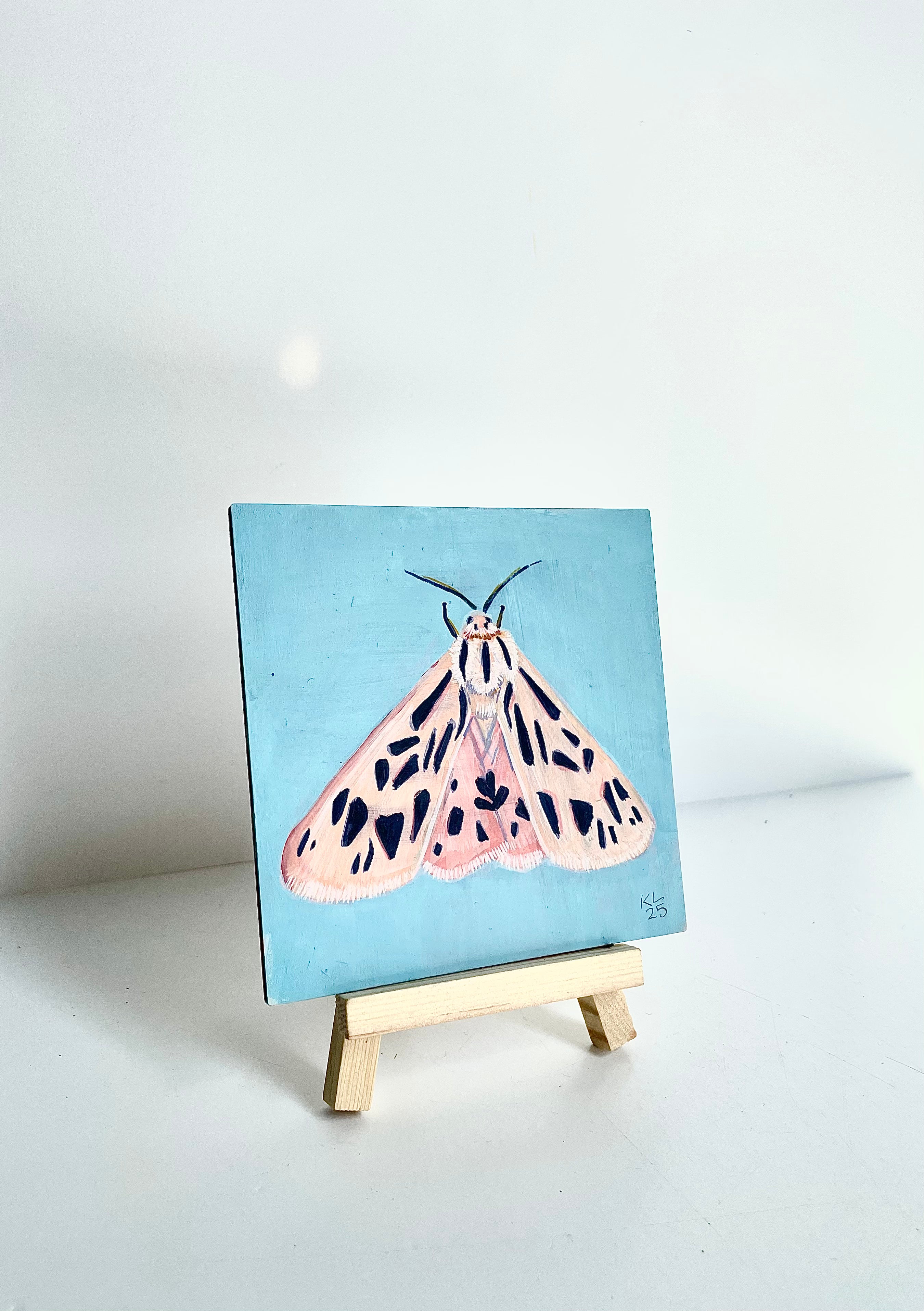 Kelley Luckett - Tiger Moth 1